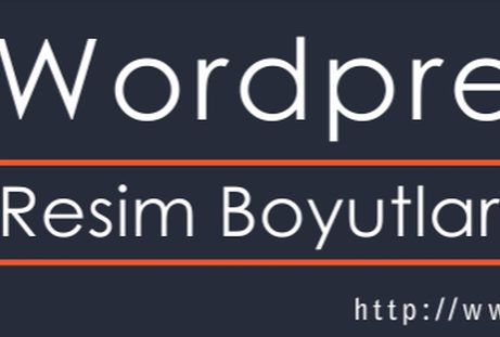 wordpress resim boyutlandırma