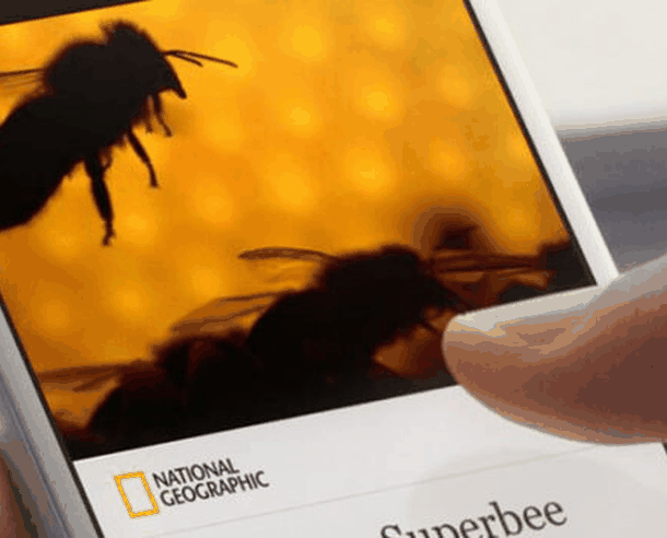 Instant-Articles-Style