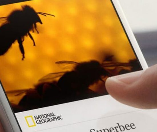 facebook instant articles