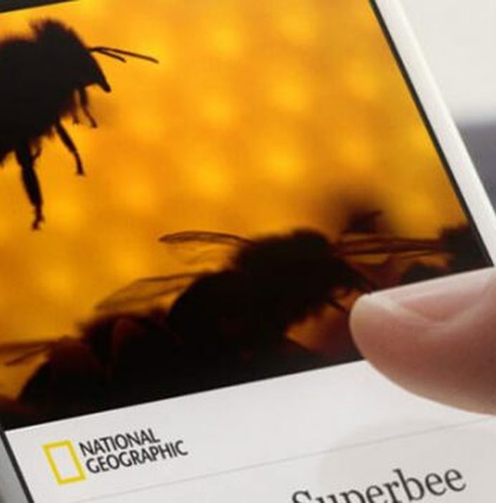 facebook_instant_articles_kurulum