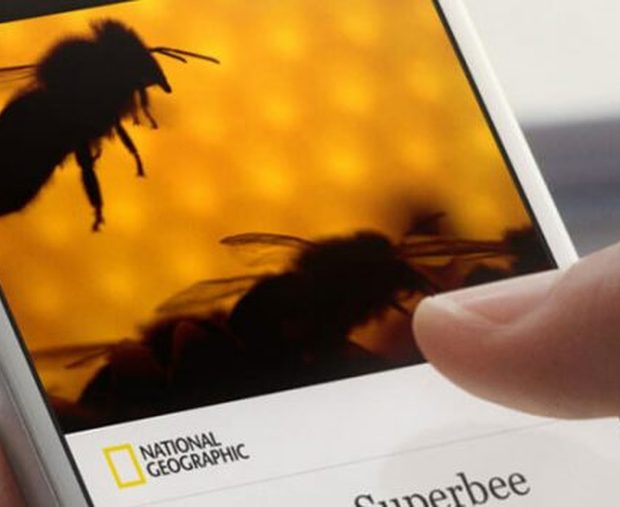 facebook_instant_articles_makaleler
