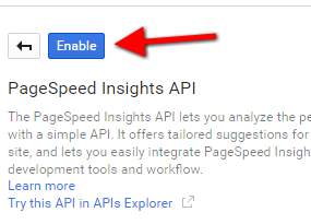 google page speed insights aktifleme