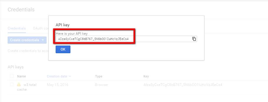 google page speed insights apikey oluştu