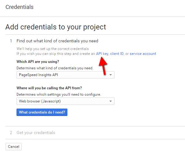 google page speed insights credentials api key
