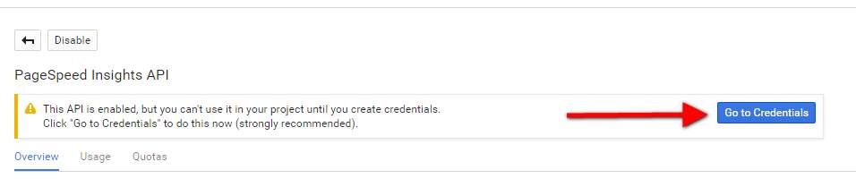 google page speed insights credentials