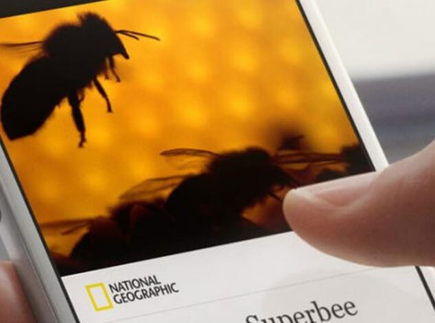 facebook instant article kayıt