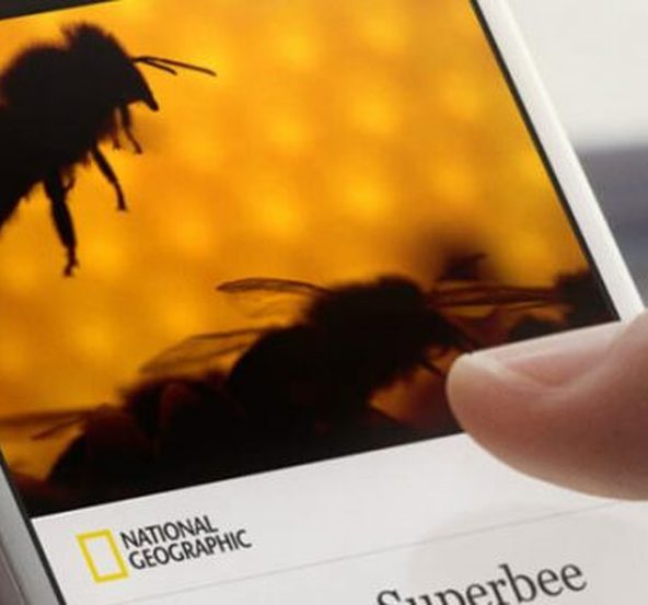 facebook instant article sayfa seçimi
