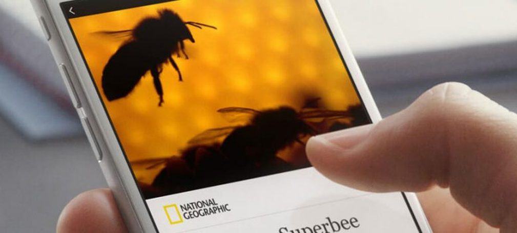 facebook instant article url