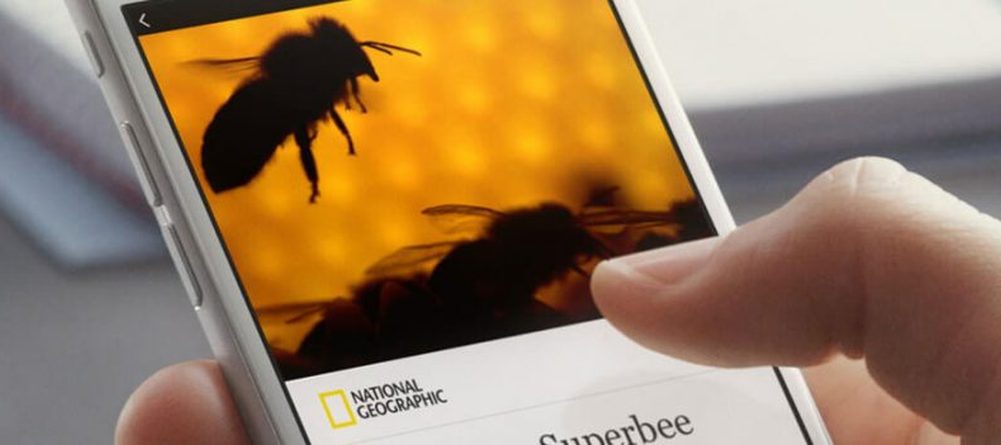 facebook instant article website onay