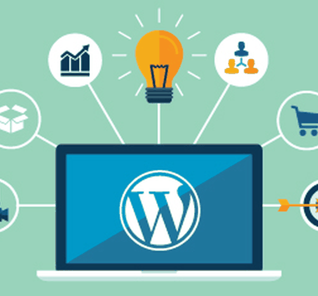 Yoast Seo kategori ve Tag Ayarı