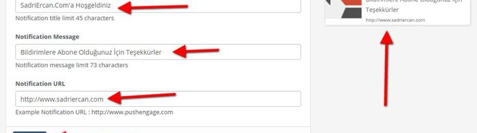 safari-push-notifications