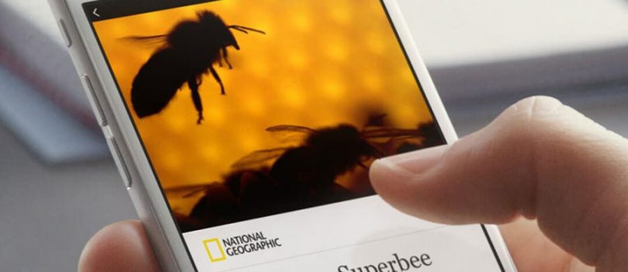 facebook instant articles