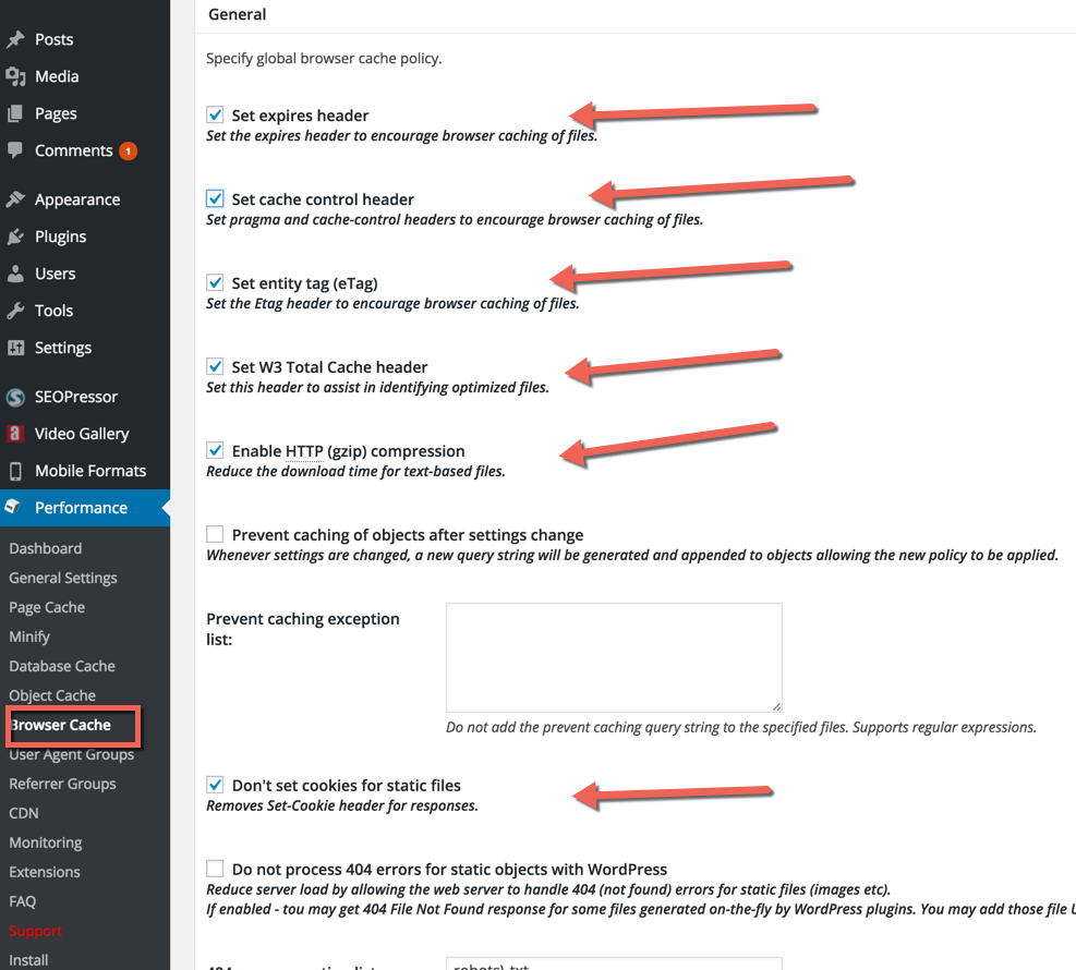 w3 total cache Browser cache settings