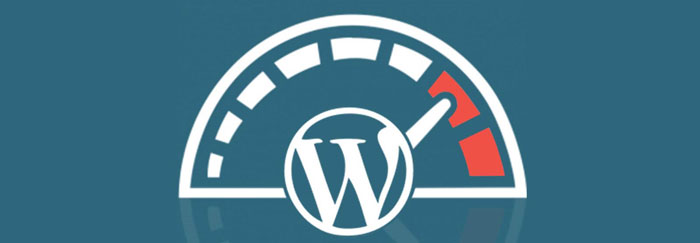 wordpress hızlandırmak