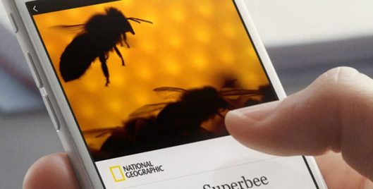 facebook yeni uygulama isim verme