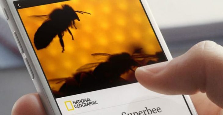 facebook yeni uygulama plugin ayar