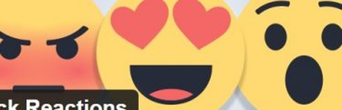 Feelback Reactions