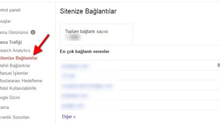 google disawow aracı girişi