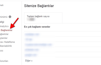 google-disawow