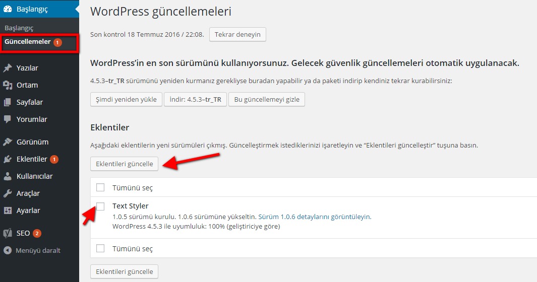 wordpress kılavuzu wordpress admin paneli guncellemeler