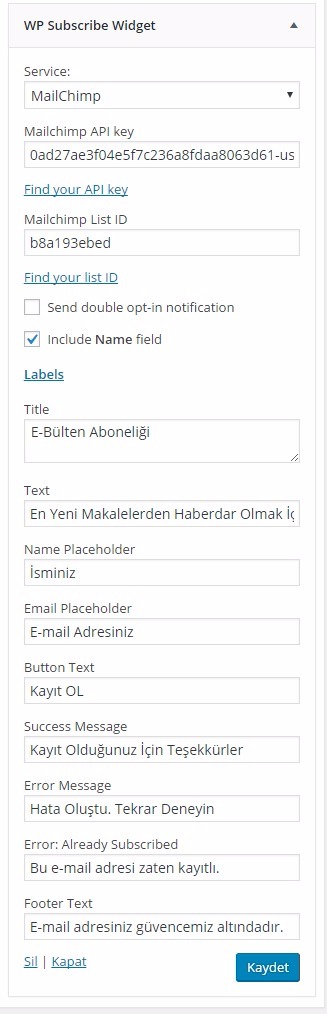 mailchimp kurulumu wp subscibe widget api