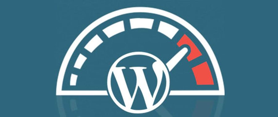 Seo Kontrol Listesi sunucu kontrolü
