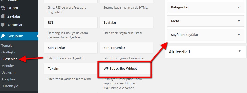 mailchimp kurulumu wp subscibe widget ekleme