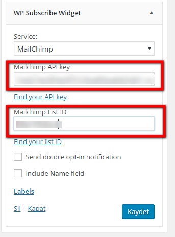 mailchimp kurulumu wp subscibe widget bilgileri