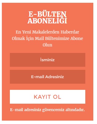 mailchimp kurulumu wp subscibe widget görünüm
