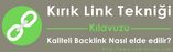 Wordpress eklenti inceleme Wp External Links menüsü