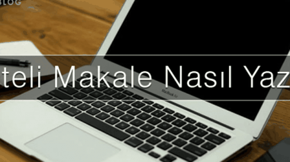 Wordpress online kurs teması lms