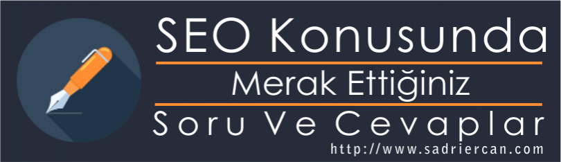seo konusunda merak edilenler