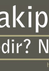 lazy load wordpress eklentisi a3-lazy-load-ayar