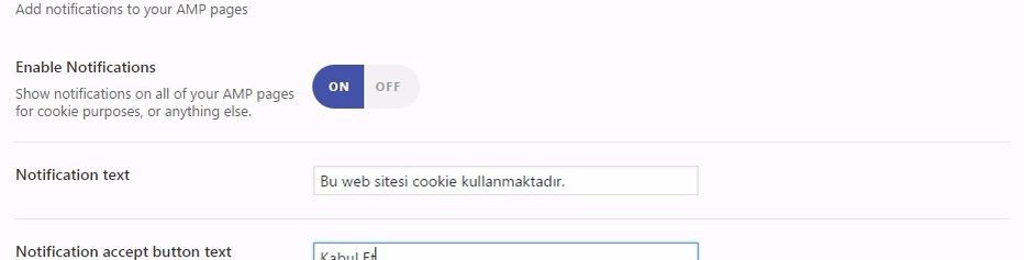google amp css-editor