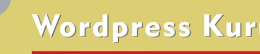 lazy load wordpress eklentisi effect