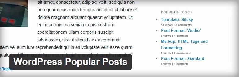 Wordpress için en iyi bileşenler gelismis-konulr-bileseni