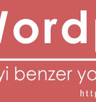 Seo uyumlu wordpress teması header
