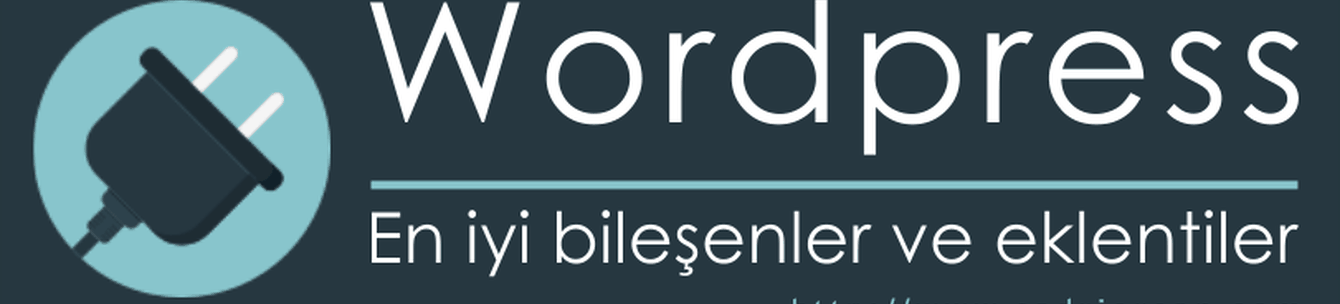 Seo uyumlu wordpress teması sayfalar