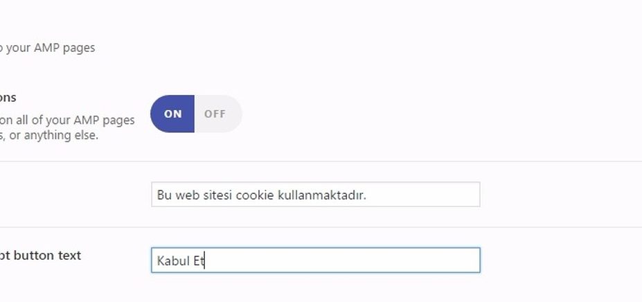 google amp structured-data