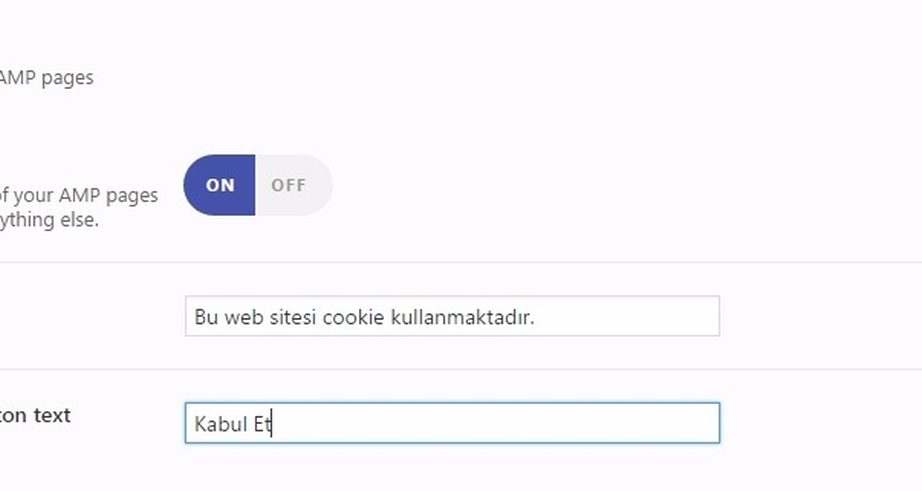google amp translation