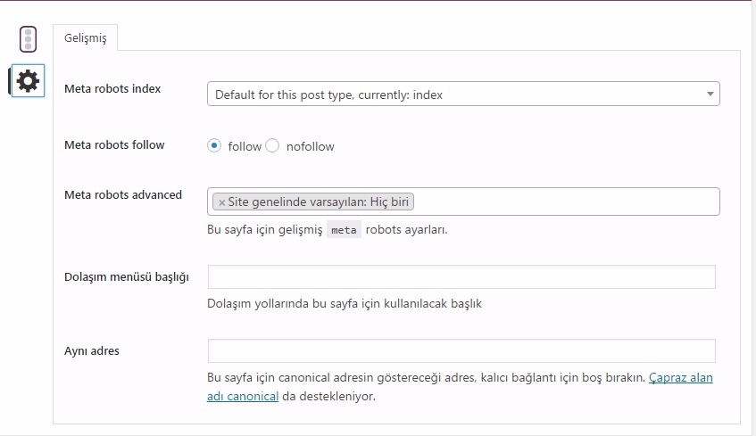 Yoast Seo yada All in One Seo5