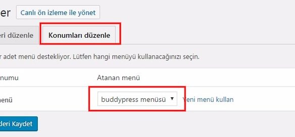 Buddypress kurulum default data