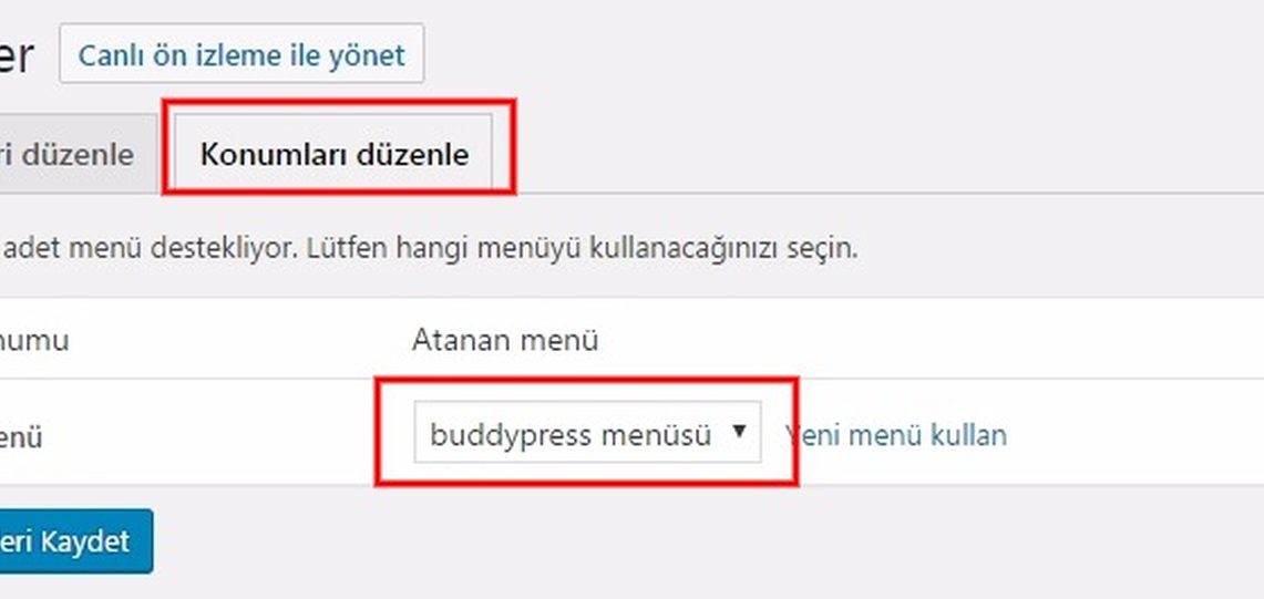 Buddypress kurulum anasayfa