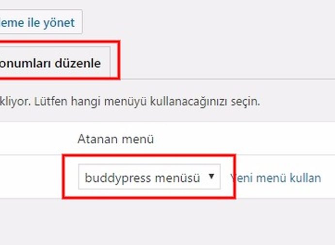 Buddypress kurulum footer bileşenler