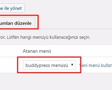 Buddypress kurulum tema seçimi