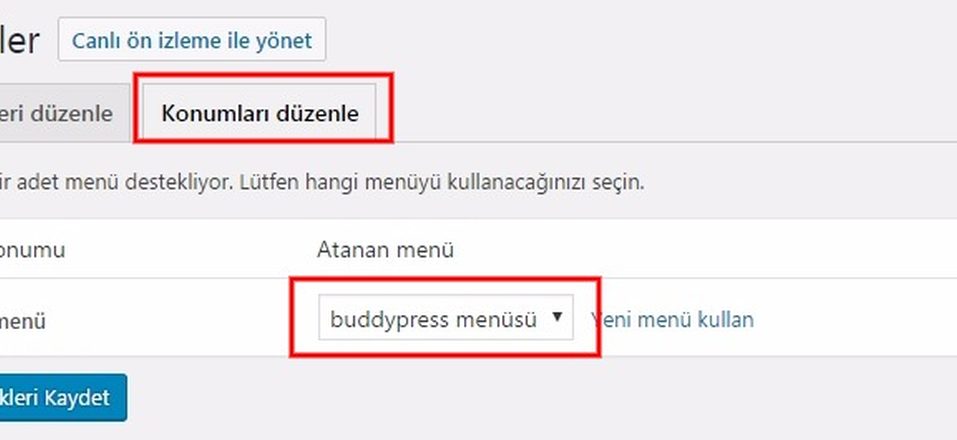 Buddypress kurulum import