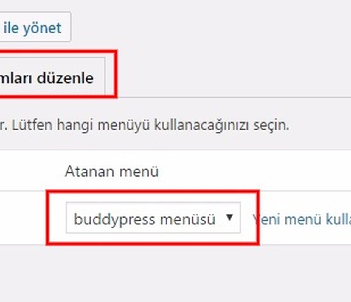 Buddypress kurulum menüler