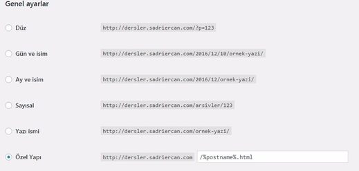Buddypress kurulum okuma ayarları