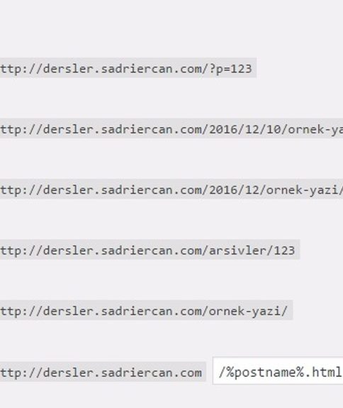 Buddypress kurulum sayfa ayarları