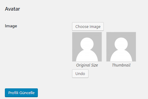 wp user avatar seçimi